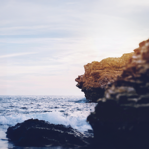 Transitie Deep Dive